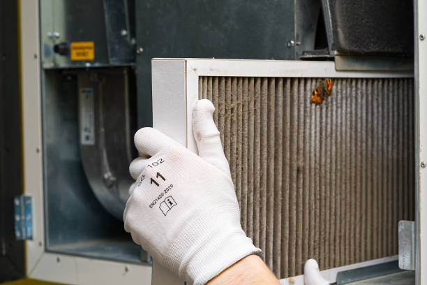 Air Duct Mold Removal in PA